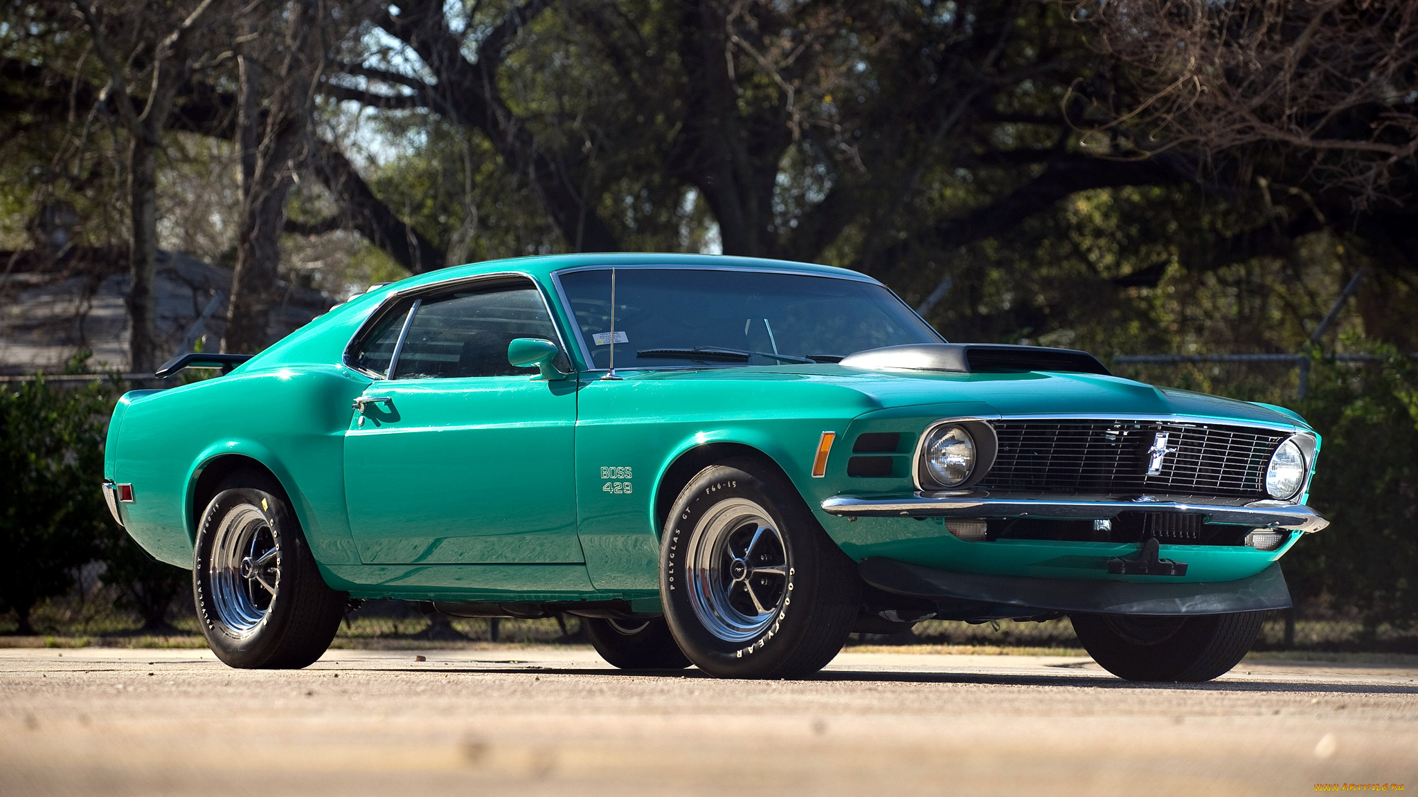ford, mustang, gt, , , , , motor, company